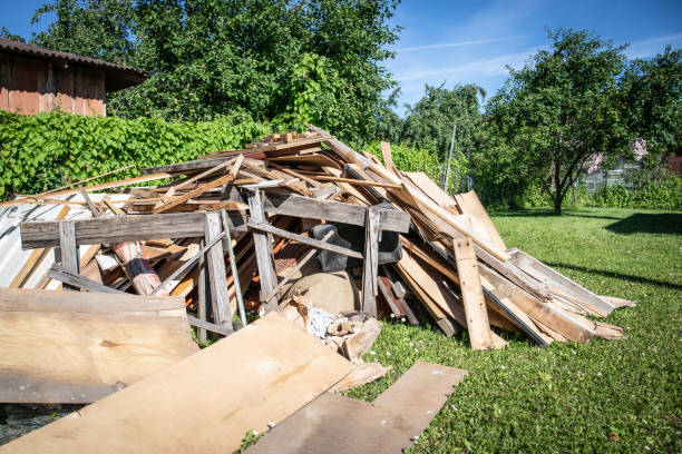 Best Shed Removal  in Red Lake Falls, MN